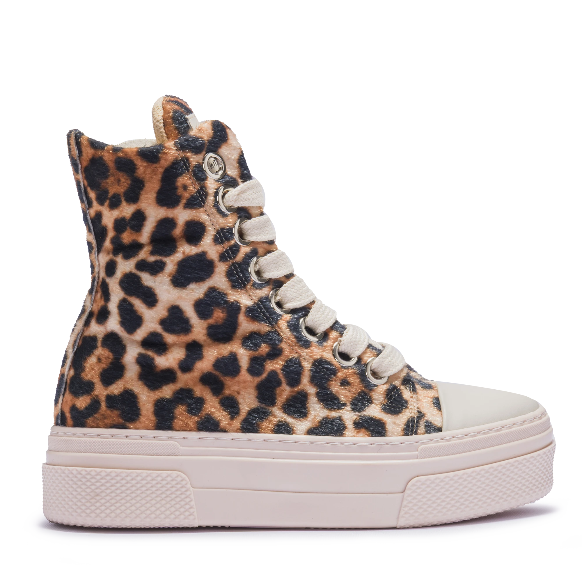CALIPSO – Leopard Edition